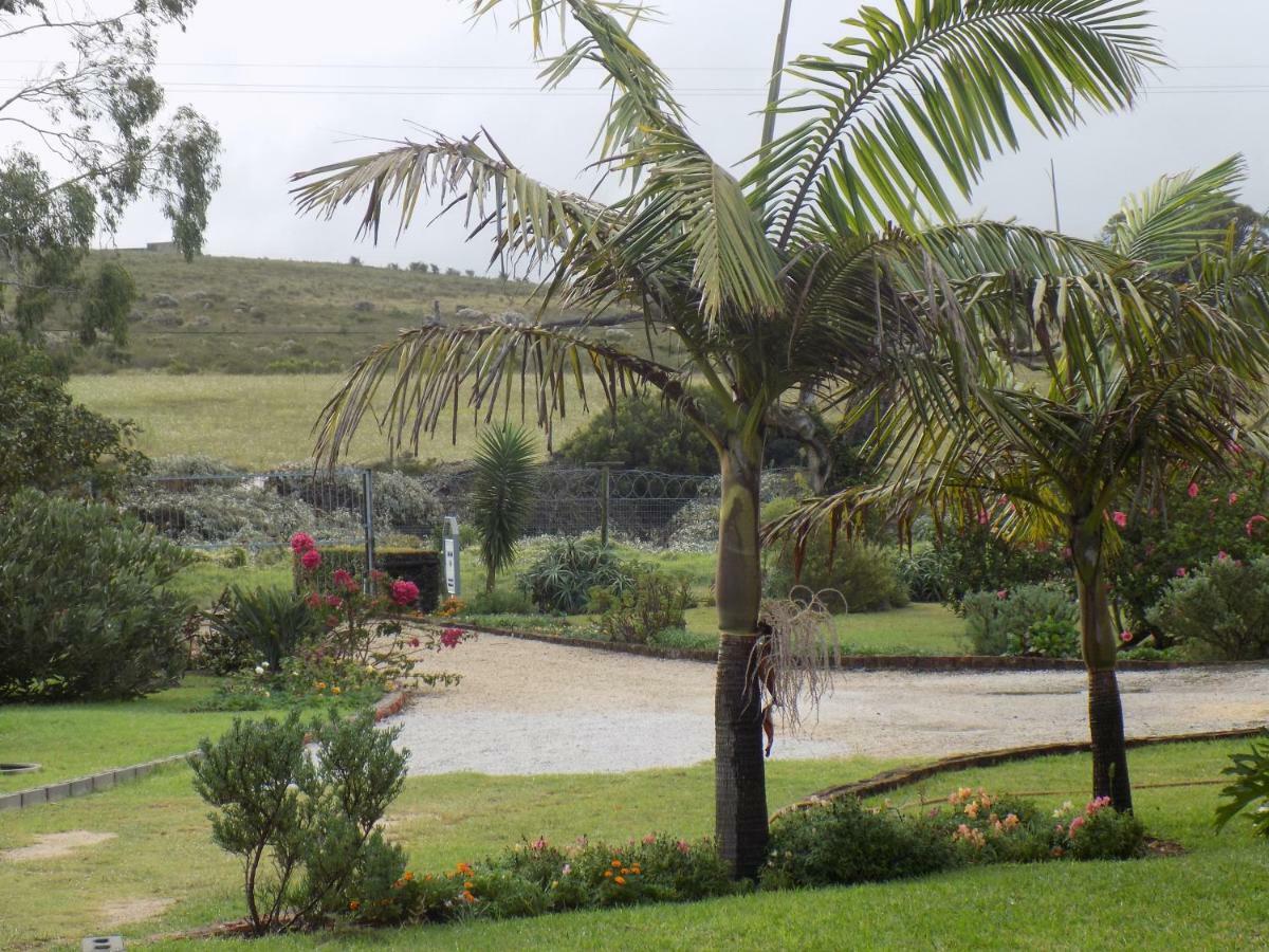 Haka Hana B&B Port Elizabeth Esterno foto